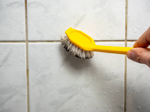 Best Emergency Mold Removal  in Grinnell, IA