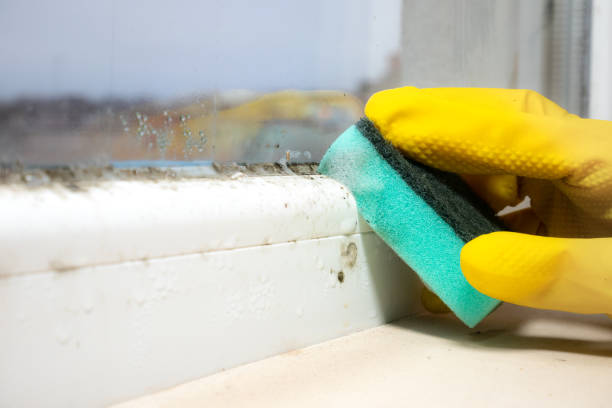 Best Crawl Space Mold Removal  in Grinnell, IA