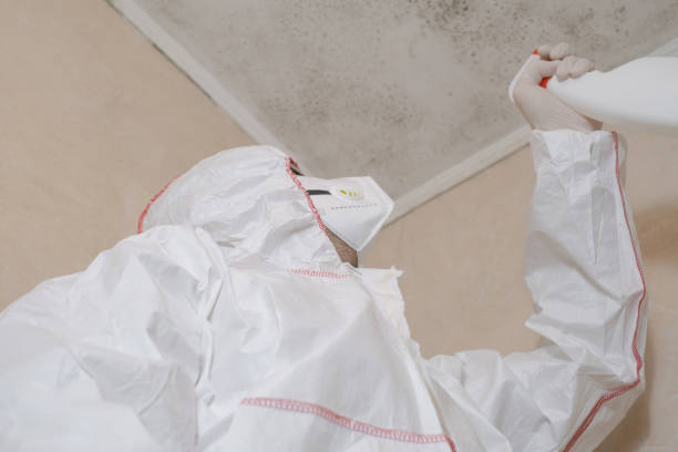 Crawl Space Mold Removal in Grinnell, IA